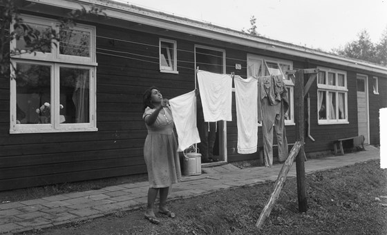 Foto van een vrouw die de was ophangt in Woonoord De Schattenberg in 1950; het voormalig kamp Westerbork. De eerste Indische Nederlanders arriveerden op 4 juli 1950 en verbleven daar tot 1951, toen het kamp werd vrijgemaakt voor Molukse bewoning. Bron: Nationaal Archief.