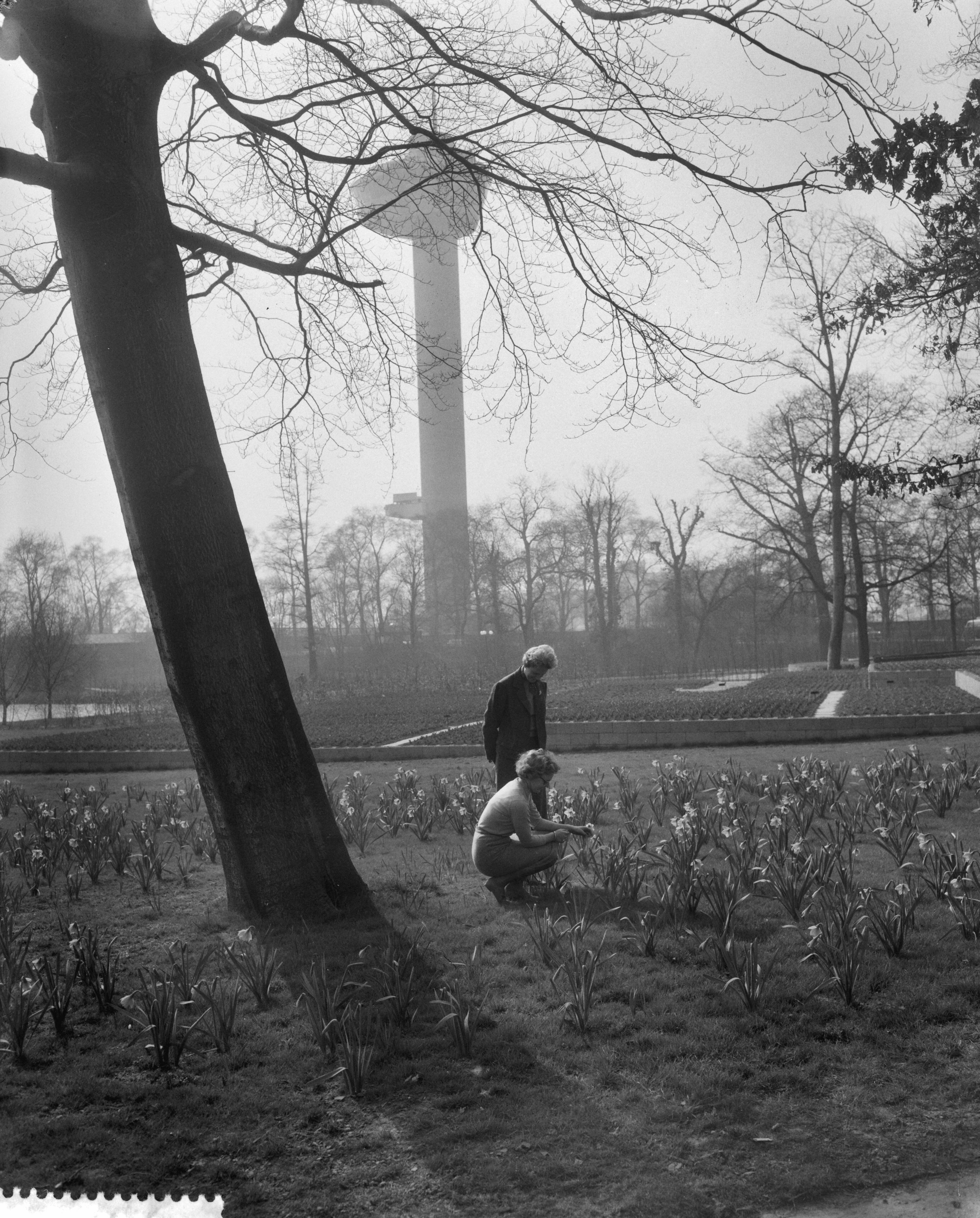 De Euromast (1958-1960) is ontworpen door architect H.A. Maaskant ter gelegenheid van de Floriade in Rotterdam in 1960. Nationaal Archief, Anefo.