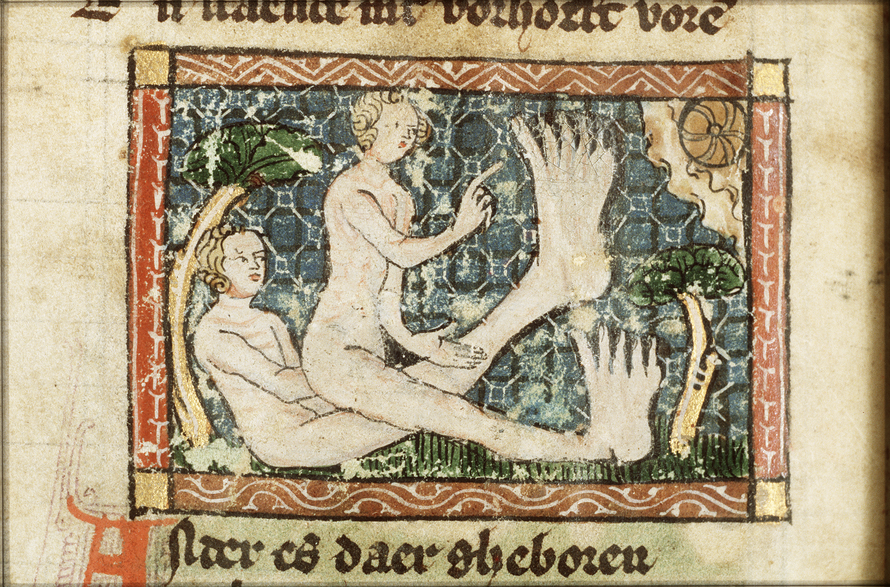 Mensen met grote voeten, Der nature bloeme, Van Maerlant. Koninklijke Bibliotheek.