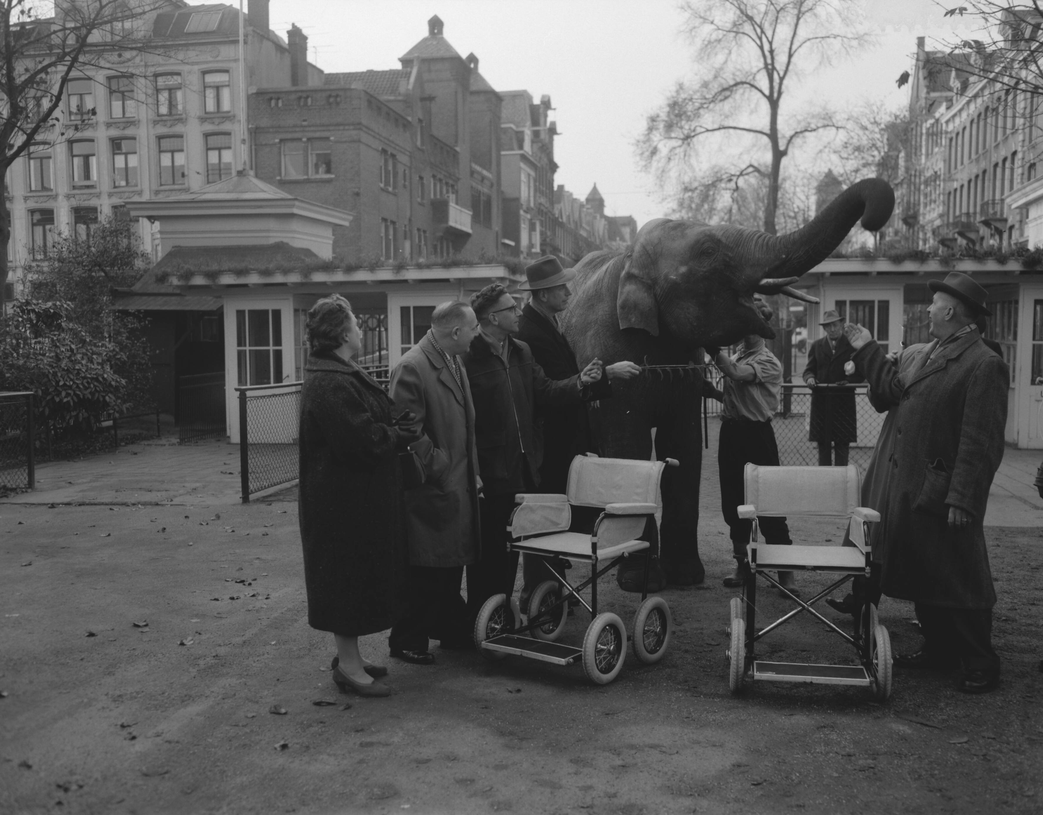 Ingang van Artis in 1958, Nationaal Archief, Anefo