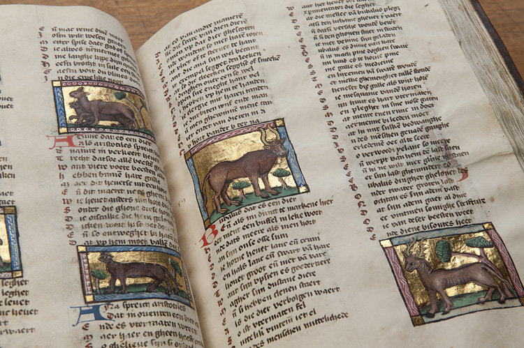 Der naturen bloeme, Van Maerlant. Koninklijke Bibliotheek.